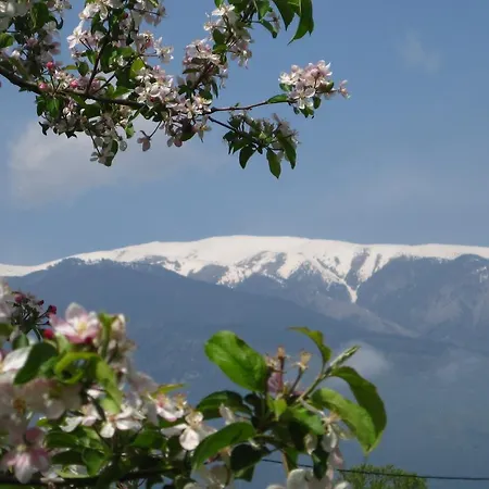Livithra Paralia Skotinis